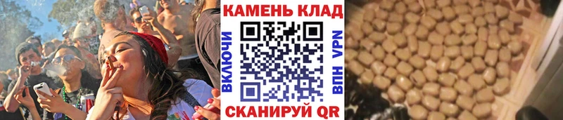 Гашиш индика сатива  Хвалынск 