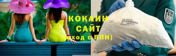 apvp Алзамай