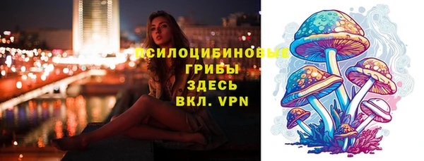 a pvp Алексин